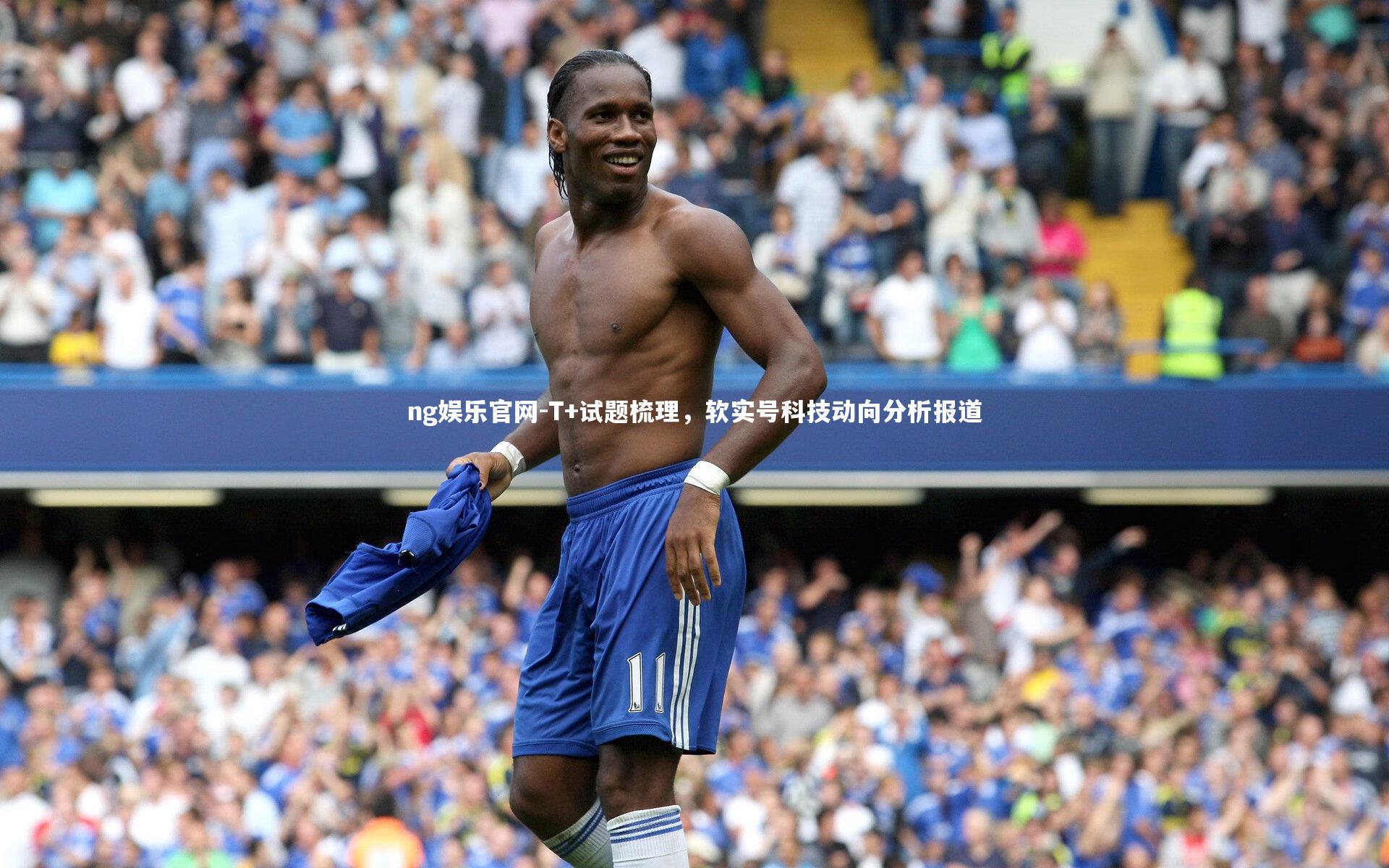 T+试题梳理，软实号科技动向分析报道